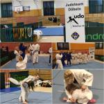 2. Vereinstag in Döbeln am 24.02.2024